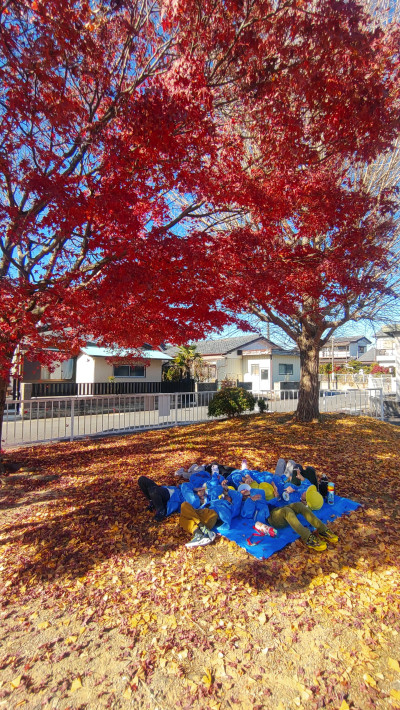 25-12-01-17-28-21-292_deco