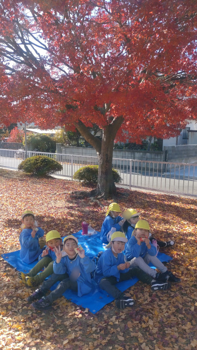 25-12-01-17-26-01-625_deco