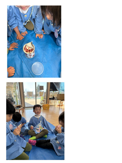 25-12-10-15-06-36-669_deco