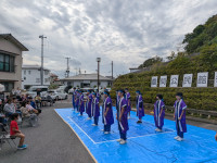 PXL_20251102_023310833.MP