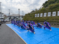 PXL_20251102_023521218.MP