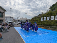 PXL_20251102_023827853.MP