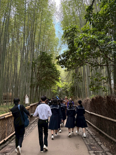 74BA44EE-C184-49B0-A749-70BCDF3D5A24