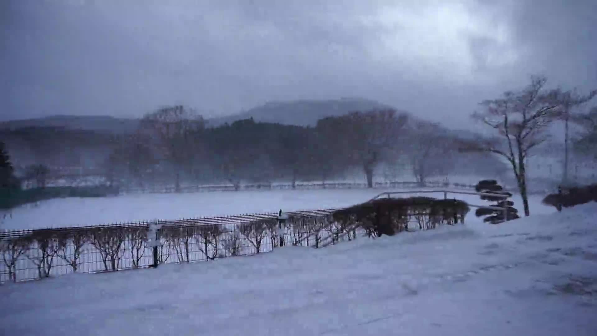 まさに地吹雪　