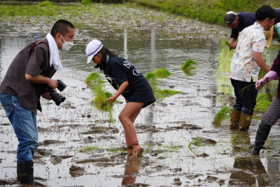 田植え8