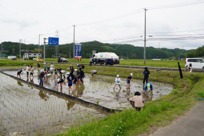 田植え13