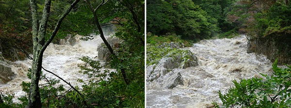 台風の夏井川渓谷