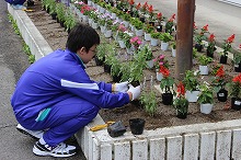 小白井小 中学校top いわき小中学校ホームページ