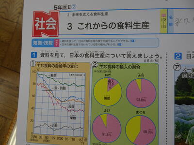 綴小学校 いわき小中学校ホームページ