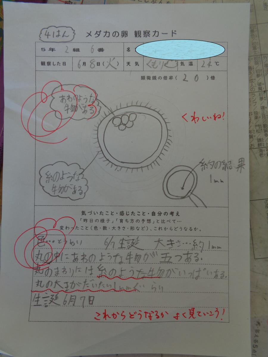 小名浜第一小学校 いわき小中学校ホームページ